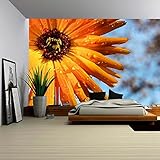 wall26 - 自着性ウォールペーパー Large Wall Muralシリーズ 100"x144" WMR-WP-X-D298-100x24x6