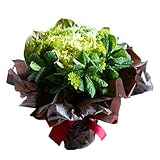 KOBE Flower smith ReiRi　爽やかグリーン色 そのまま飾れるスタンドブーケ（花束） 送料無料【日時指定便対応】