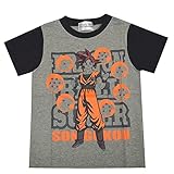 ドラゴンボール超 スーパー 孫悟空 ベジータ スーパーサイヤ人 ゴッド 半袖Tシャツ 子供用 キッズ ジュニア fo-ht07 110 D柄