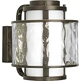 Progress Lighting P5849-20 Bay Court Collection 1-Light Wall Lantern, Antique Bronze [並行輸入品]