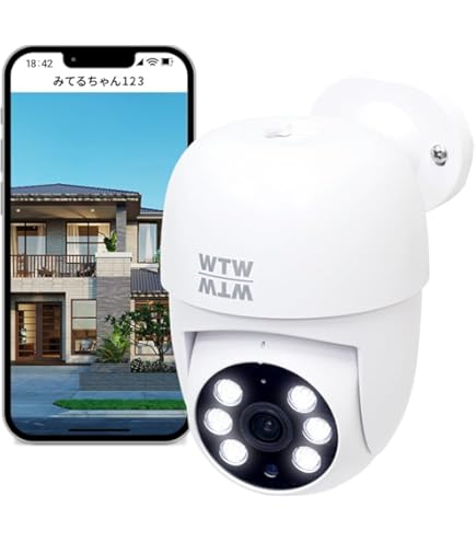 Amazon.co.jp: WTW 塚本無線 800万画素防犯灯ドームカメラ 2台【PoE