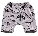 Baby Boys Girls Dinosaur Trouser Bottoms幼児レギンス汗ハーレムショートパンツ US サイズ: 6-12 Months カラー: グレー