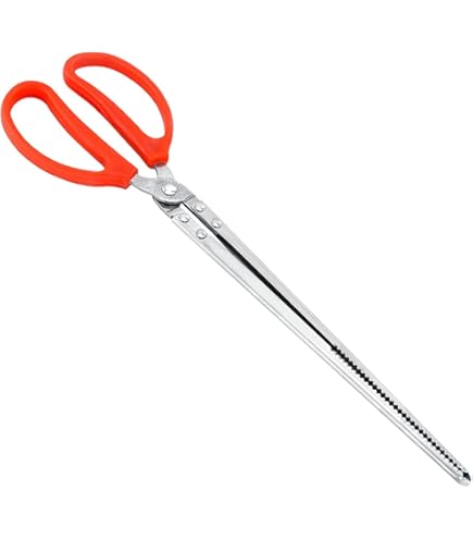 爬虫類用給餌トング ステンレス製トング 2本セット Amazon | 爬虫類用給餌トング、ヘビ用給餌トング | ステンレス