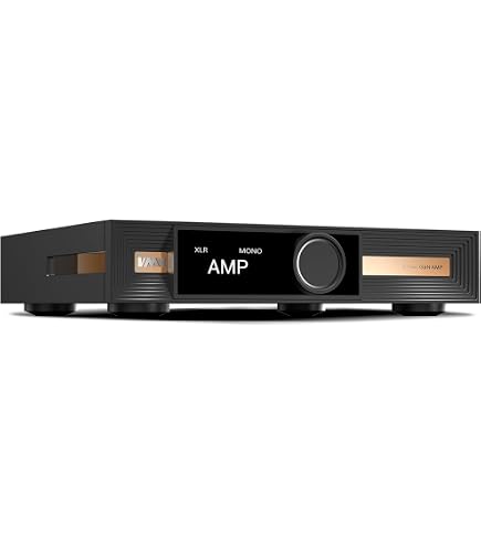 Amazon.co.jp: SMSL VMV A1 pro FET クラ​​スDアンプ PGA2311 チップ