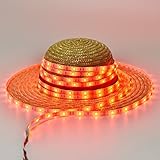 Led Strip Lights SoMarkt LED Strip Kit SMD 5050 Waterproof 300leds Flexible Color Changing RGB 32.8 