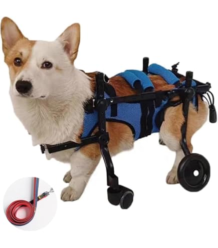 Amazon.co.jp: 犬 車椅子 歩行器 4輪犬用車椅子、 フルサポート調整  