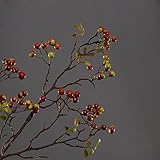 シミュレーション花 造花　装飾用花　品質が最高の造花 　本物そっくりの秋の実 [並行輸入品]