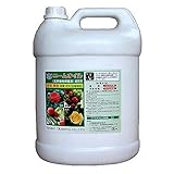 ダイコー ニームオイル 5L 葉面散布 大興貿易 代不