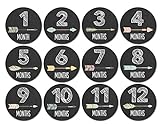 Months In Motion - Baby Month Stickers - Monthly Baby Sticker for Girls - Tribal Arrows (1106) [並行輸入