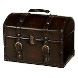 チェスターシリーズ　トランク MUD-6010DBR ダークブラウン