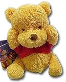 Gund Disney Winnie the Pooh Super Soft Plush Baby Rattle