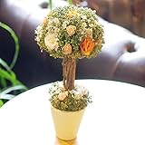 パラボッセオリジナル ドライフラワー キャンディトピアリー オレンジ Lサイズ クリアケース付 横幅14cm×14cm×高さ20cm