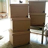 ストレージ クラフトボックス 5個セット 日本製 A4サイズ対応　ネコ （ブラウン）