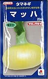 タマネギ 種子 マッハ 玉ねぎ (20ml)