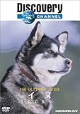 �f�B�X�J�o���[�`�����l�� The Ultimate Guide �C�k