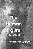 The Human Figure