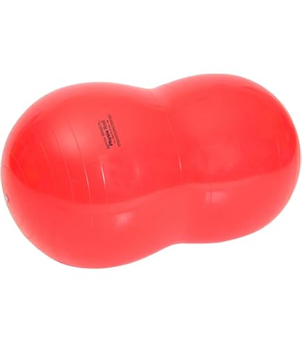 Amazon | ギムニク(GYMNIC) フィジオロール 70 青 LP8803 イタリア製