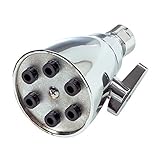 Danco 9D00089203 6-Jet Showerhead, Chrome [並行輸入品]