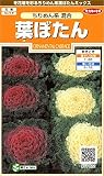 サカタのタネ 実咲花7922 葉ぼたん ちりめん系混合 00907922