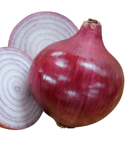 Amazon.co.jp: 玉ねぎ苗（超極早生）F1超極早生玉葱 100本 / 国華園 25