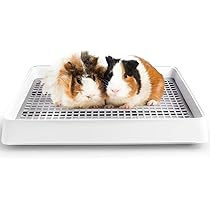 Amazon | うさぎ トイレ メッシュスノコ付き モルモットトイレ