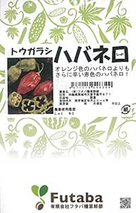 フタバ種苗卸部 ハバネロレッド トウガラシ 種 小袋詰 40粒 野菜 Amazon