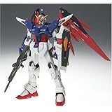 コズミックリージョン#7004 デスティニーガンダム
