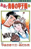 ああ！青春の甲子園（１） (フラワーコミックス)