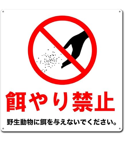 Amazon | 餌付け 禁止 注意 看板 （200mmサイズ） PP プラ板 光沢 防水