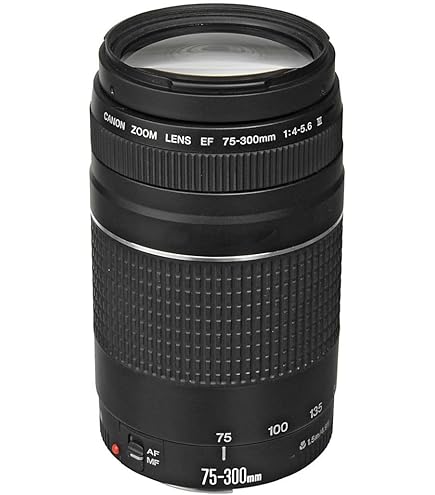 Amazon.co.jp: キャノンEF 75-300mm f/4-5.6 III 望遠ズームレンズ  