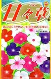 日々草 (745)