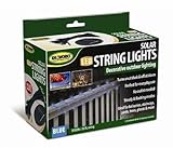 50 Solar Powered LED String Lights 25ft Outdoor Decorative Umbrella Trees Bushes - BLUE [並行輸入品]