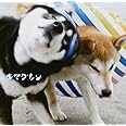 ALIVE(初回限定盤)(DVD付)