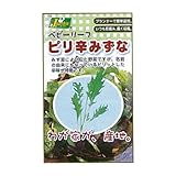カネコ種苗 園芸・種 KS100シリーズ ピリ辛みずな 野菜100 713