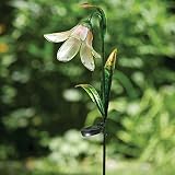 Bits and Pieces - Garden Décor - Solar Powered LED Lily Path Lights - Illuminate your Patio, Yard, L