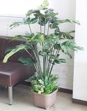 山久 シルクフラワーの「スプリットフィロー」115（TB994） 1410-6367【CT触媒加工】 snb 【観葉植物】【造花】