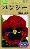 カネコ種苗 草花タネ121 パンジー 大輪咲き 赤花 10袋セット