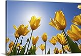 Craig Tuttleプレミアムシックラップキャンバス壁アート印刷題名Yellow Tulips Against A Blue Sky At Wooden Shoe Tulipファーム;オレゴン州、