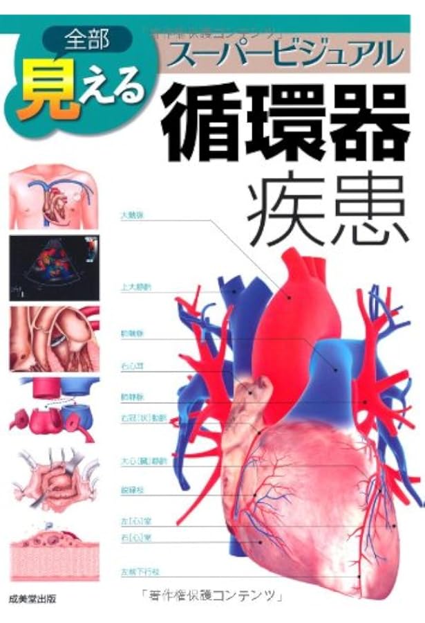 5冊セット 全部見える呼吸器疾患 消化器疾患 循環器疾患 脳神経疾患　整形外科 5冊セット 全部見える呼吸器疾患 消化器疾患 循環器疾患 脳神経疾患