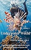 Underwater World Photo Book Vol.1: Exploring the beautiful underwater world through 100+ images of marine life. (English Edition)