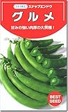 スナップえんどう種子・グルメ（20ml）