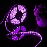 Ledgle LED Light Strip,Waterproof 16.4ft,300 LEDs SMD5050,Color Changing RGB Music Controlled LED St