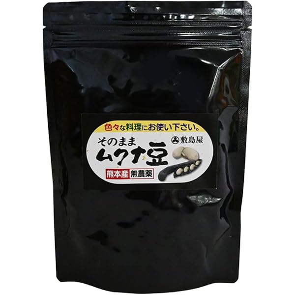 農薬不使用 黒ムクナ豆 15kg モザンビーク産 黒ムクナ豆 500g 【 送料無料 】残留農薬検査済