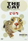 THE CAT �`�A�����J���E�J�[���`