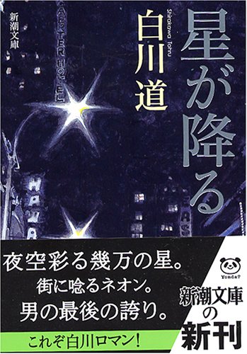 白川道:星が降る (新潮文庫)