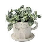 Paseo Cup Planter JJ-02