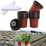KING DO WAY 4'' 50pcs プランター 植木鉢 植木ポット プラスチック 通気性 家庭園芸 植物栽培 ガーデニング