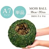 【資材苔玉Ａ７サイズ】資材苔玉　16～20cmの苔玉 (単品)