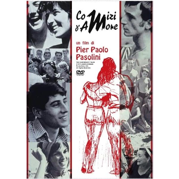 Amazon.co.jp: porcile DVD Italian Import : DVD