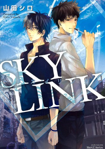 『SKY LINK』